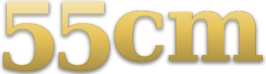 55cm logo